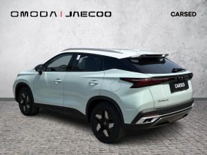 Miniaturka zdjęcia