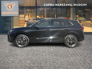 Miniaturka zdjęcia