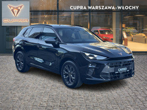 Miniaturka zdjęcia