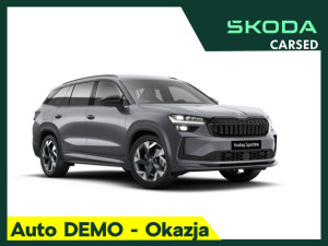 Miniaturka zdjęcia