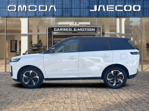Miniaturka zdjęcia