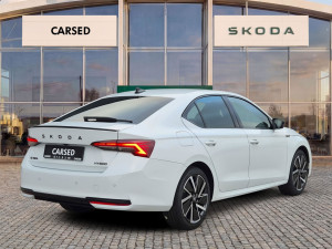 Miniaturka zdjęcia