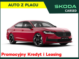 Miniaturka zdjęcia