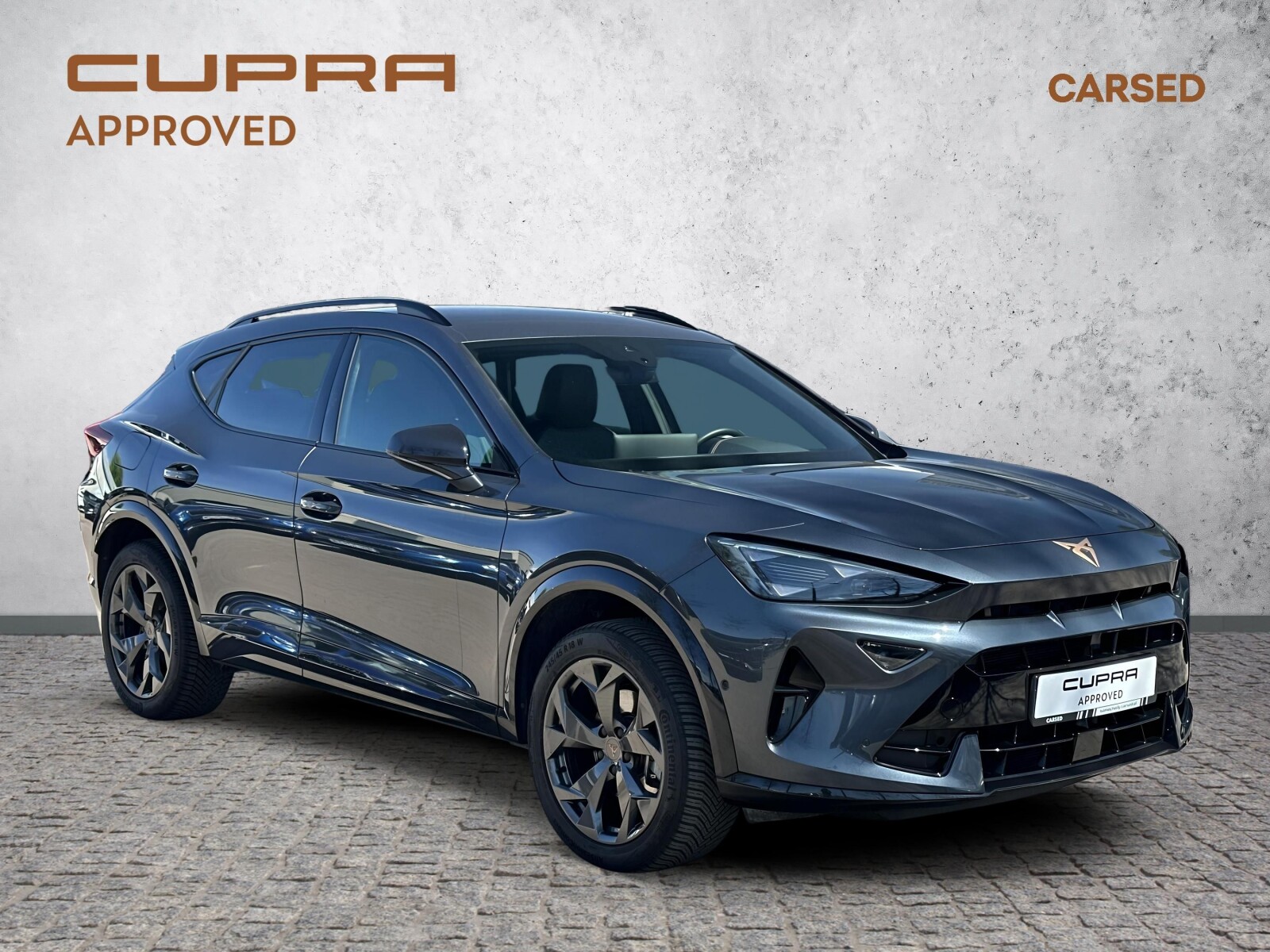 Główne zdjęcie