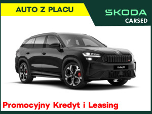 Miniaturka zdjęcia