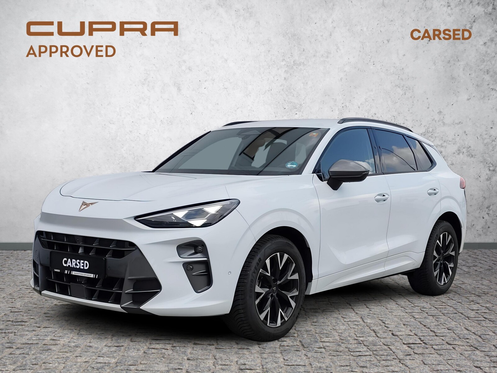 Cupra Terramar