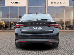 Miniaturka zdjęcia