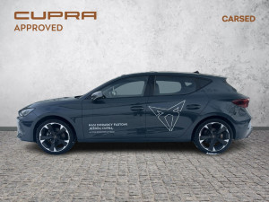 Miniaturka zdjęcia