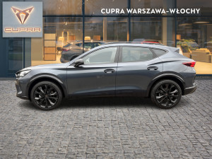 Miniaturka zdjęcia