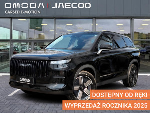 Miniaturka zdjęcia