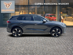 Miniaturka zdjęcia