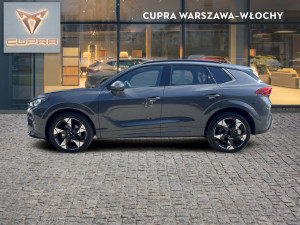 Miniaturka zdjęcia
