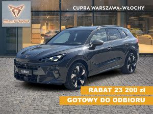 Miniaturka zdjęcia