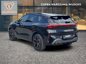 Miniaturka zdjęcia