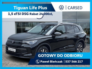 Miniaturka zdjęcia