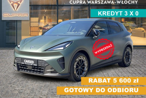 Miniaturka zdjęcia