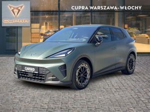 Miniaturka zdjęcia
