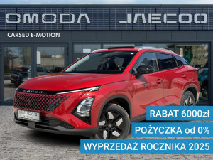 Miniaturka zdjęcia