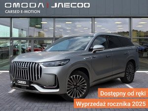 Miniaturka zdjęcia
