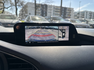 Miniaturka zdjęcia