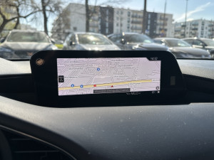 Miniaturka zdjęcia