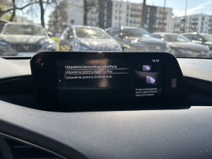 Miniaturka zdjęcia