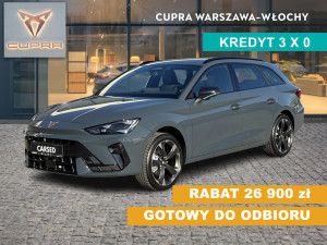 Miniaturka zdjęcia