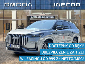 Miniaturka zdjęcia