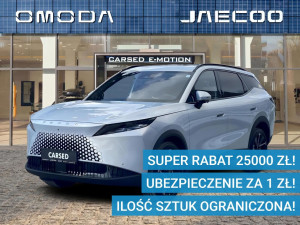 Miniaturka zdjęcia