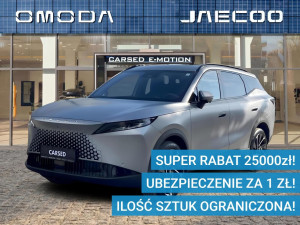 Miniaturka zdjęcia