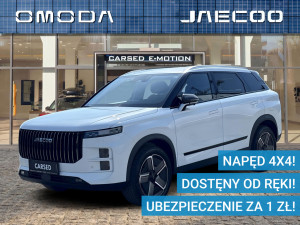Miniaturka zdjęcia