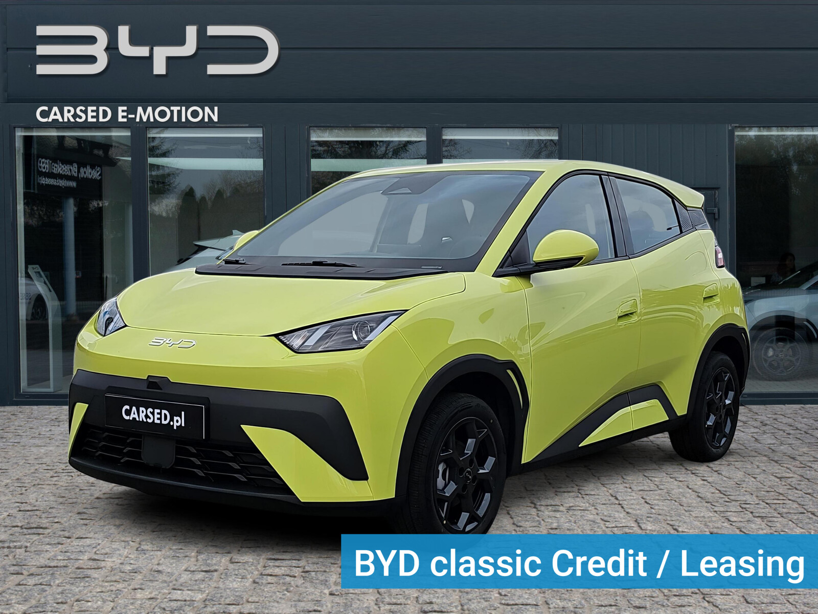 BYD Dolphin Surf