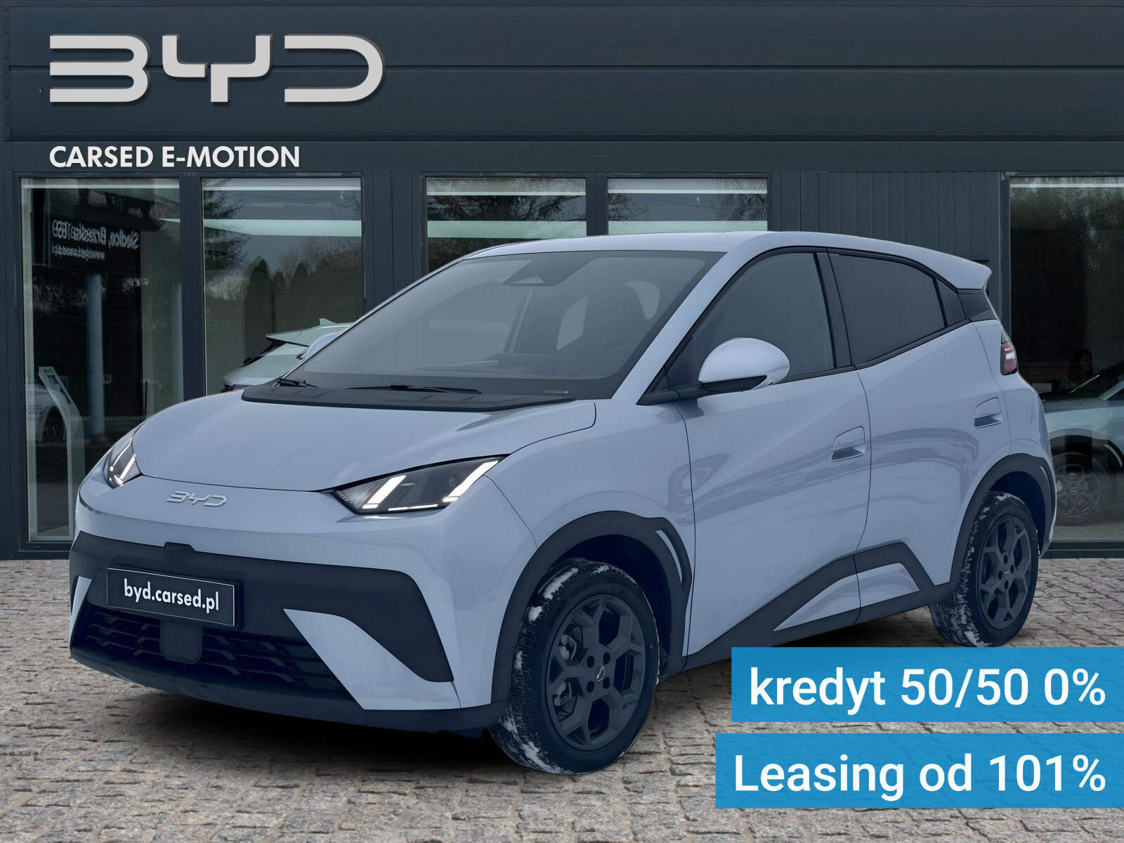 BYD Dolphin Surf
