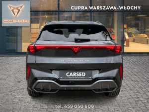 Miniaturka zdjęcia