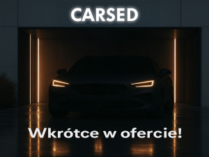Miniaturka zdjęcia