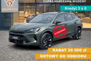 Miniaturka zdjęcia