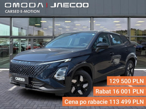 Miniaturka zdjęcia