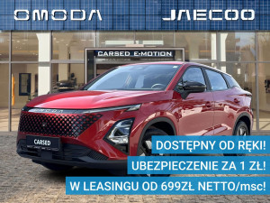 Miniaturka zdjęcia