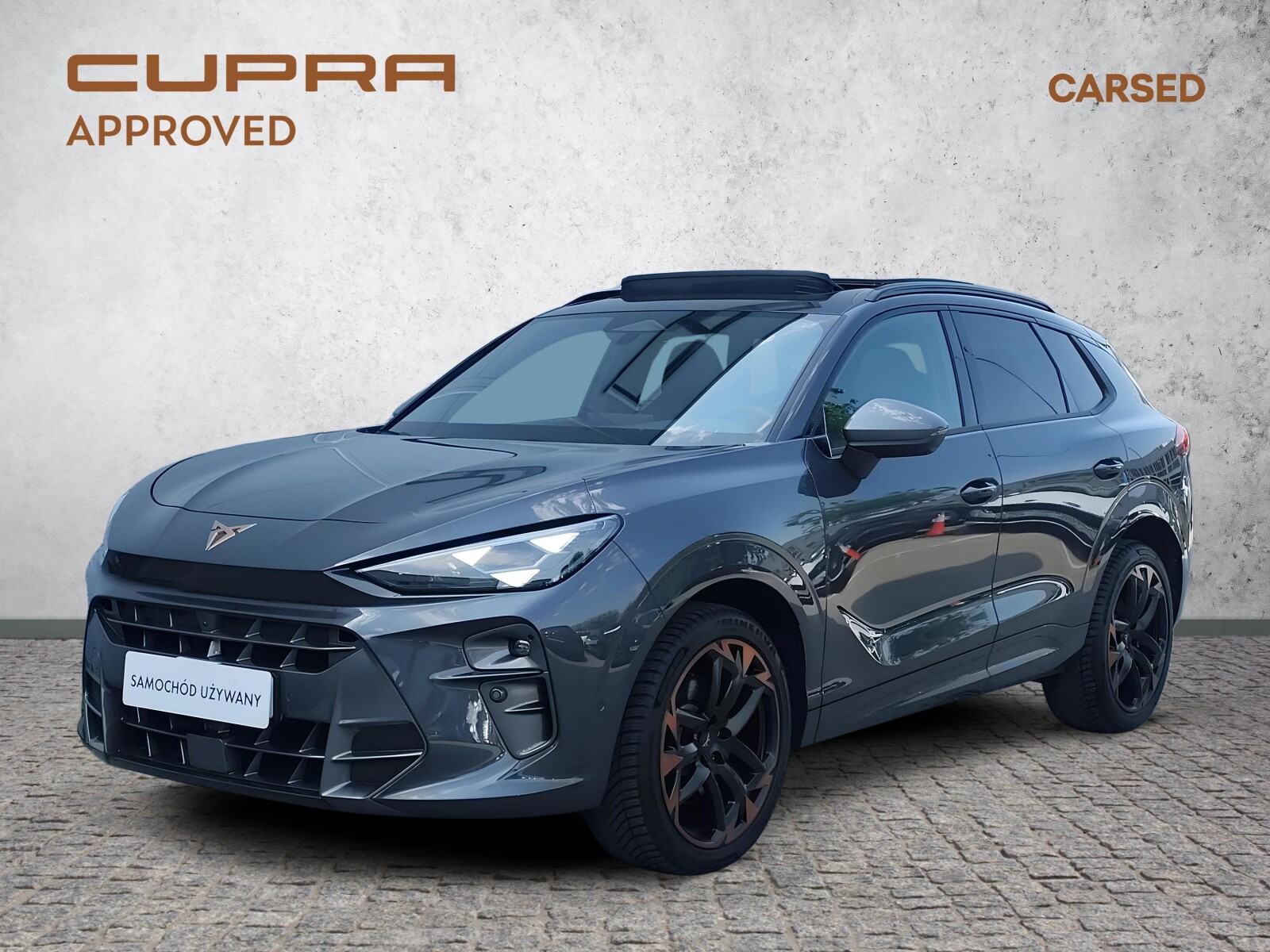 Cupra Terramar