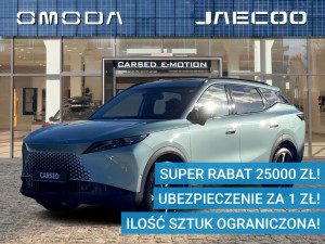 Miniaturka zdjęcia
