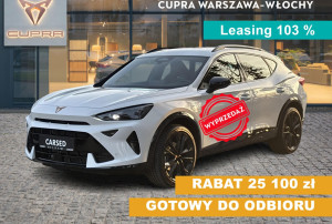 Miniaturka zdjęcia