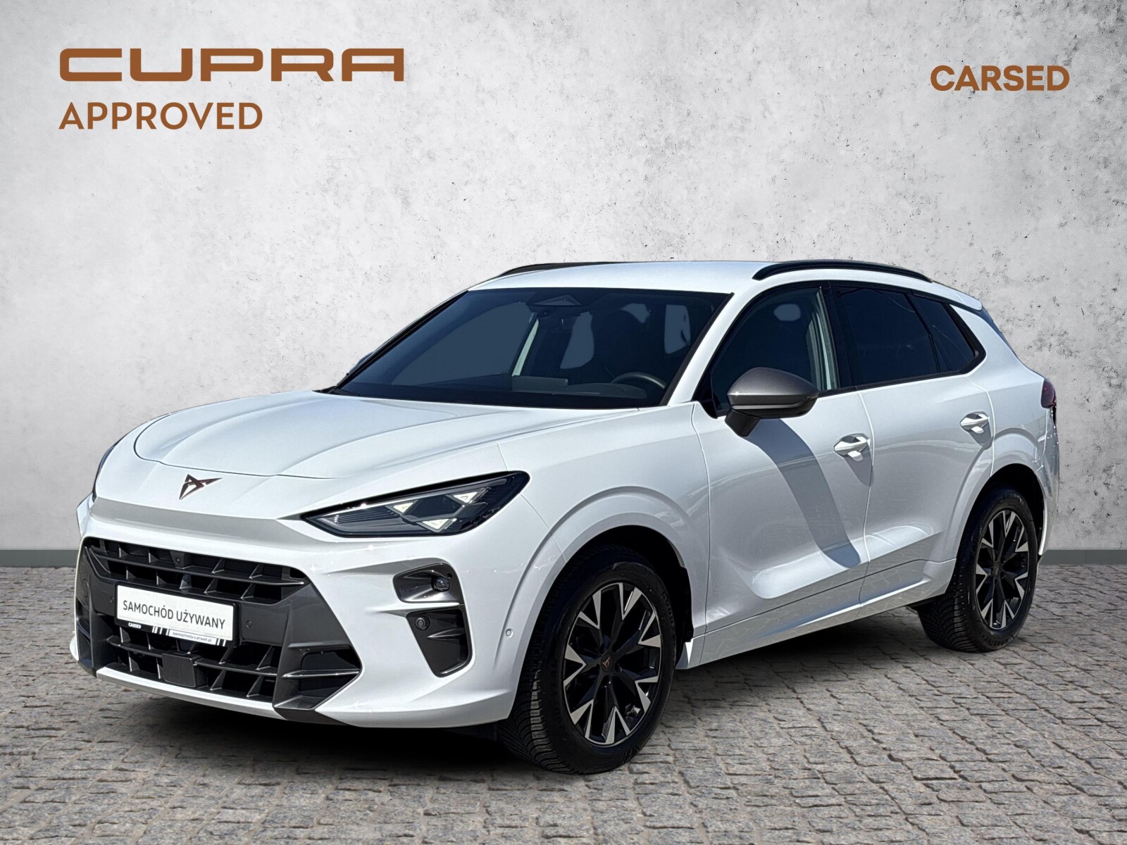 Cupra Terramar