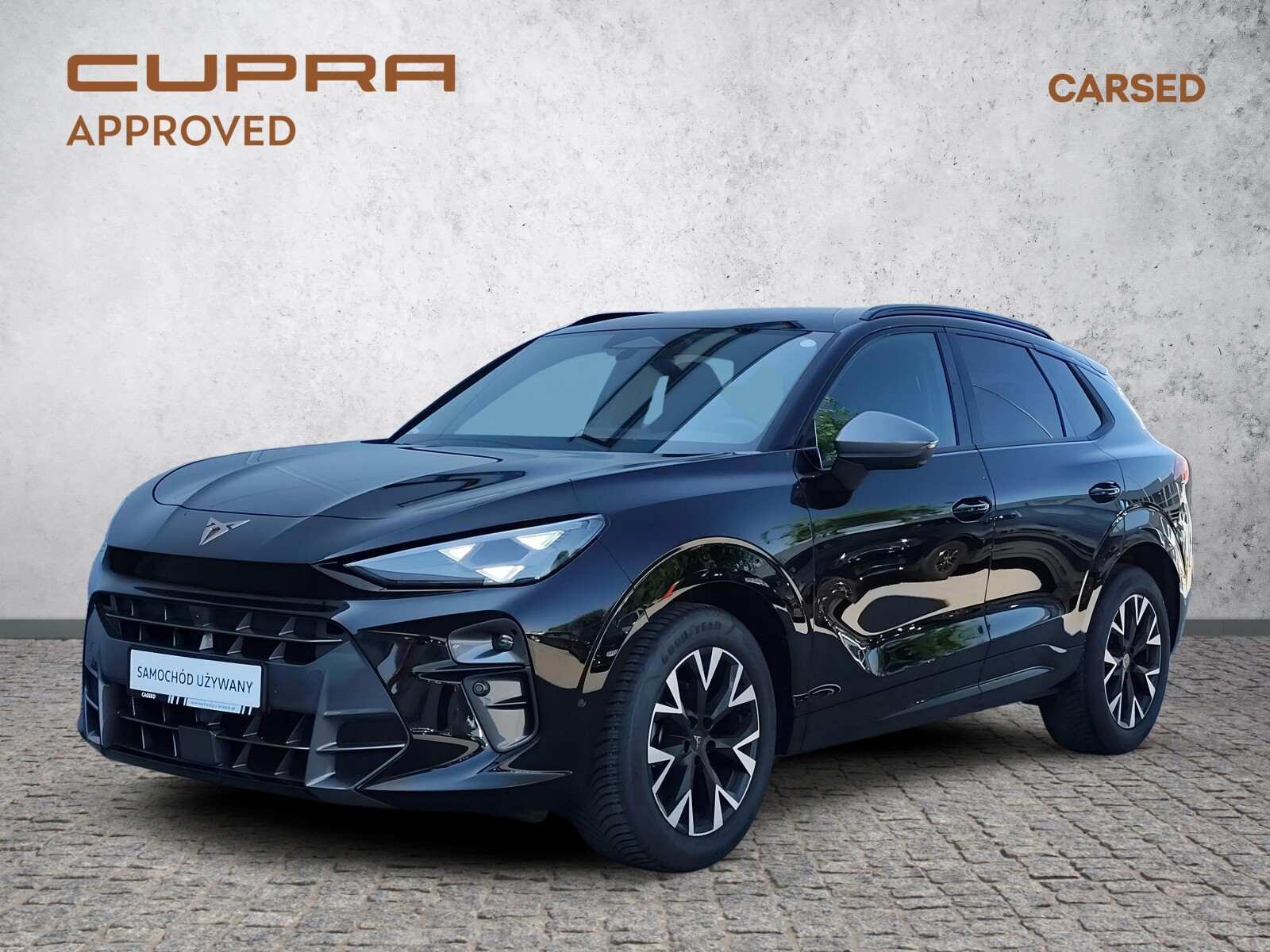 Cupra Terramar