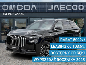 Miniaturka zdjęcia