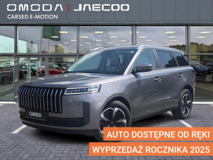 Miniaturka zdjęcia