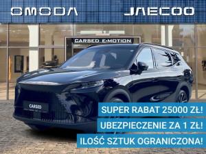 Miniaturka zdjęcia