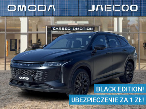 Miniaturka zdjęcia