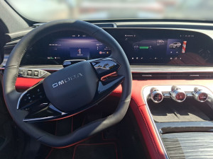Miniaturka zdjęcia