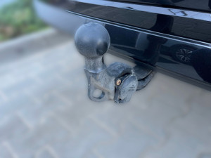 Miniaturka zdjęcia