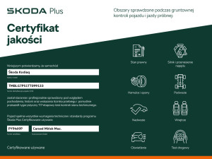 Miniaturka zdjęcia